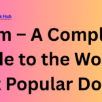 .com – A Complete Guide to the World’s Most Popular Domain 3 .com